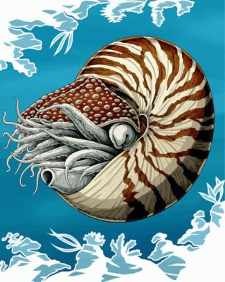 Nautilidae Marine Mollusc diamond painting