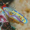 Nudibranch diamond painting