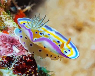 Nudibranch diamond painting