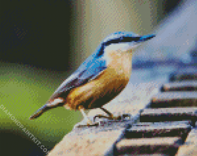 Nuthatch Bird diamond painting