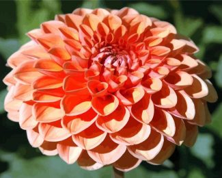 Orange Dahlia diamond painting