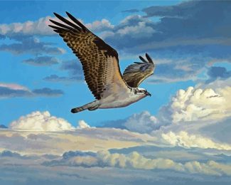 Osprey Bird Flying diamond painting