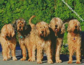 Otterhound diamond painting