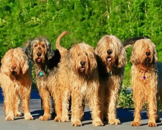 Otterhound diamond painting