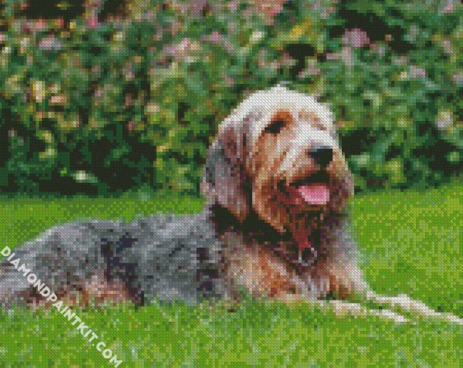 Otterhound Dog diamond painting