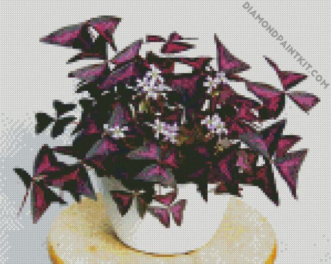 Oxalis Plant diamond painting