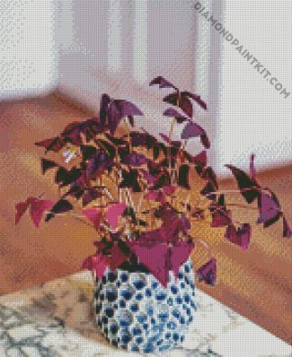 Oxalis Plant Pot diamond painting