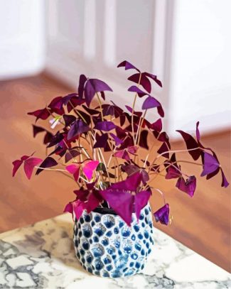 Oxalis Plant Pot diamond painting