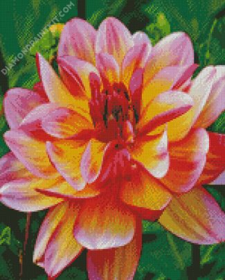 Pink And Yellow Dahlia diamond painting