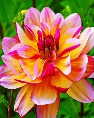 Pink And Yellow Dahlia diamond painting