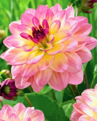 Pink Yellow Dahlia diamond painting