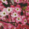 Pink Dogwood diamond painting