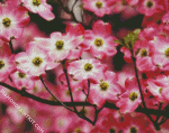 Pink Dogwood diamond painting