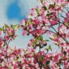 Pink Dogwood Tree diamond painting