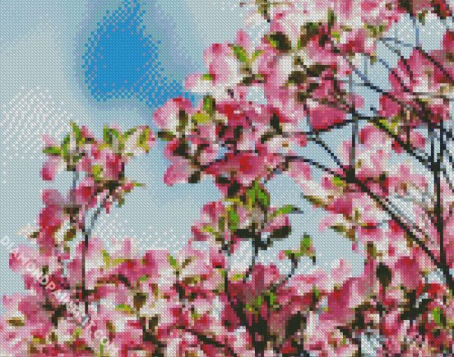 Pink Dogwood Tree diamond painting