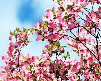 Pink Dogwood Tree diamond painting