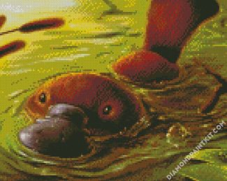 Platypus diamond painting