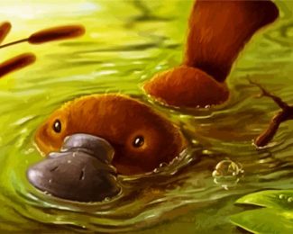 Platypus diamond painting