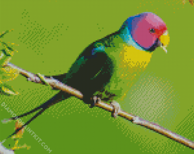 Plum Headed Parakeet diamond painting