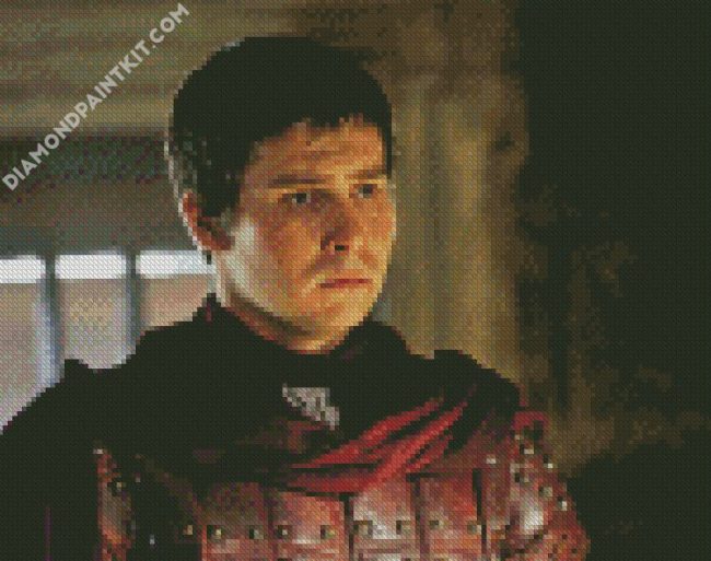 Podrick diamond painting