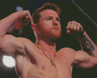 Professional Boxer Canelo diamond painting