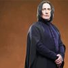 Professor Severus Snape diamond painting