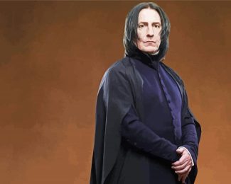 Professor Severus Snape diamond painting