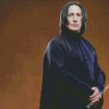 Professor Severus Snape diamond painting