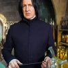 Professor Severus diamond painting