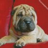 Puppy Sharpei diamond painting