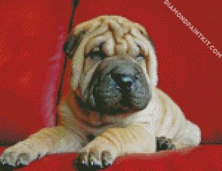 Puppy Sharpei diamond painting