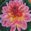 Purple And Yellow Dahlia diamond painting