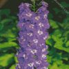 Purple Delphiniums Plants diamond painting