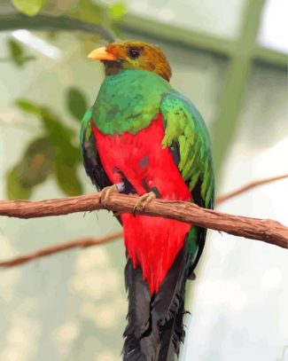 Quetzal Bird Animal diamond painting