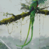 Quetzal Bird Art diamond painting