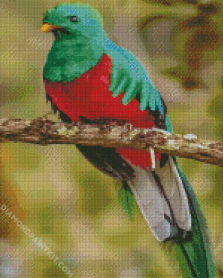 Quetzal Bird diamond painting