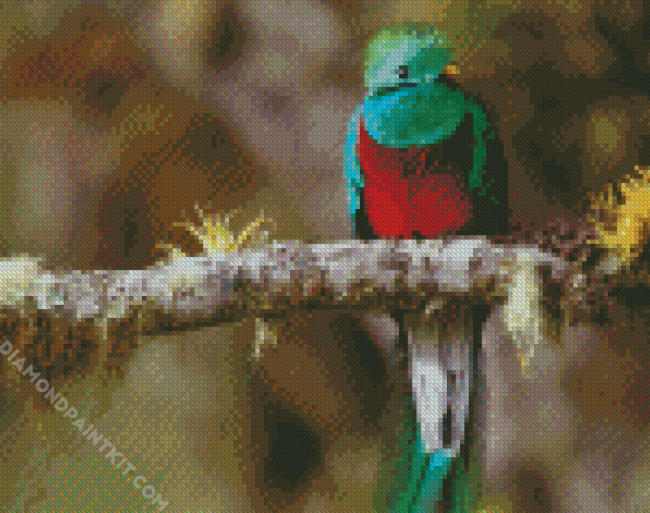 Quetzal Bird On A Branch diamond painting