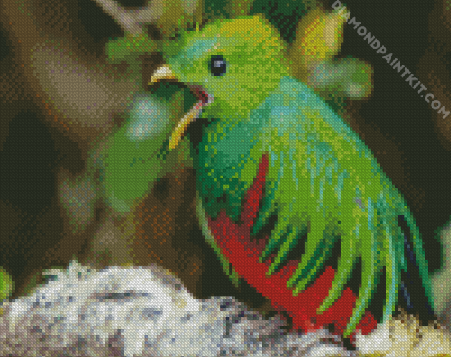 Quetzal Bird Peeping diamond painting