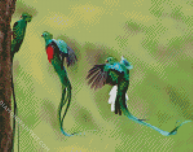 Quetzal Birds diamond painting