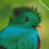 Quetzal Head diamond painting