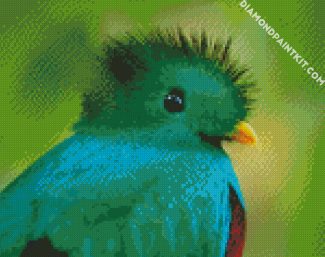 Quetzal Head diamond painting