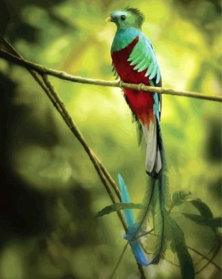 Quetzal Long Tailed Bird diamond painting