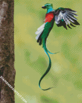 Quetzal Long Tailed Bird Flying diamond painting