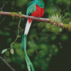 Quetzal On A Branch diamond painting