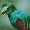 Quetzalv Bird Eating diamond painting