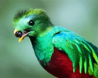 Quetzalv Bird Eating diamond painting