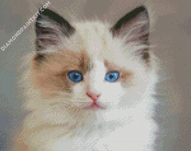 Ragdoll Kitten diamond painting