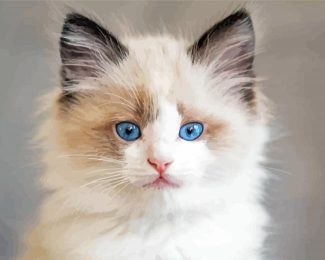 Ragdoll Kitten diamond painting