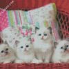 Ragdoll Kittens diamond painting