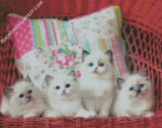 Ragdoll Kittens diamond painting